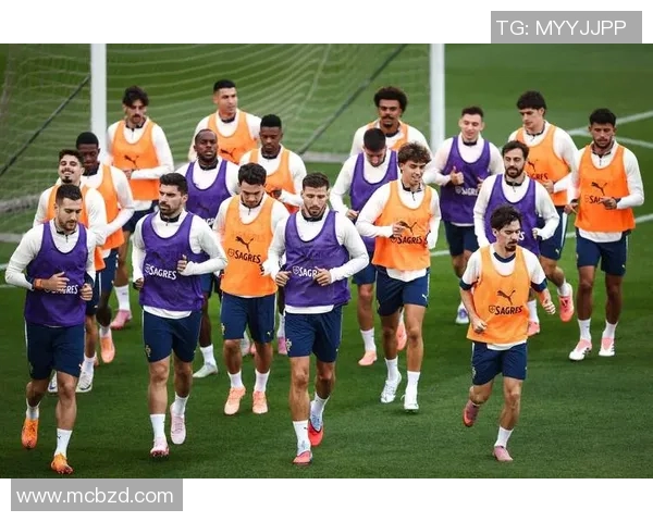 葡萄牙与立陶宛足球赛首发阵容分析及战术解读